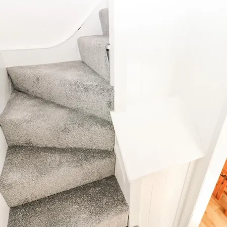 Bay Tree Richmond (North Yorkshire)